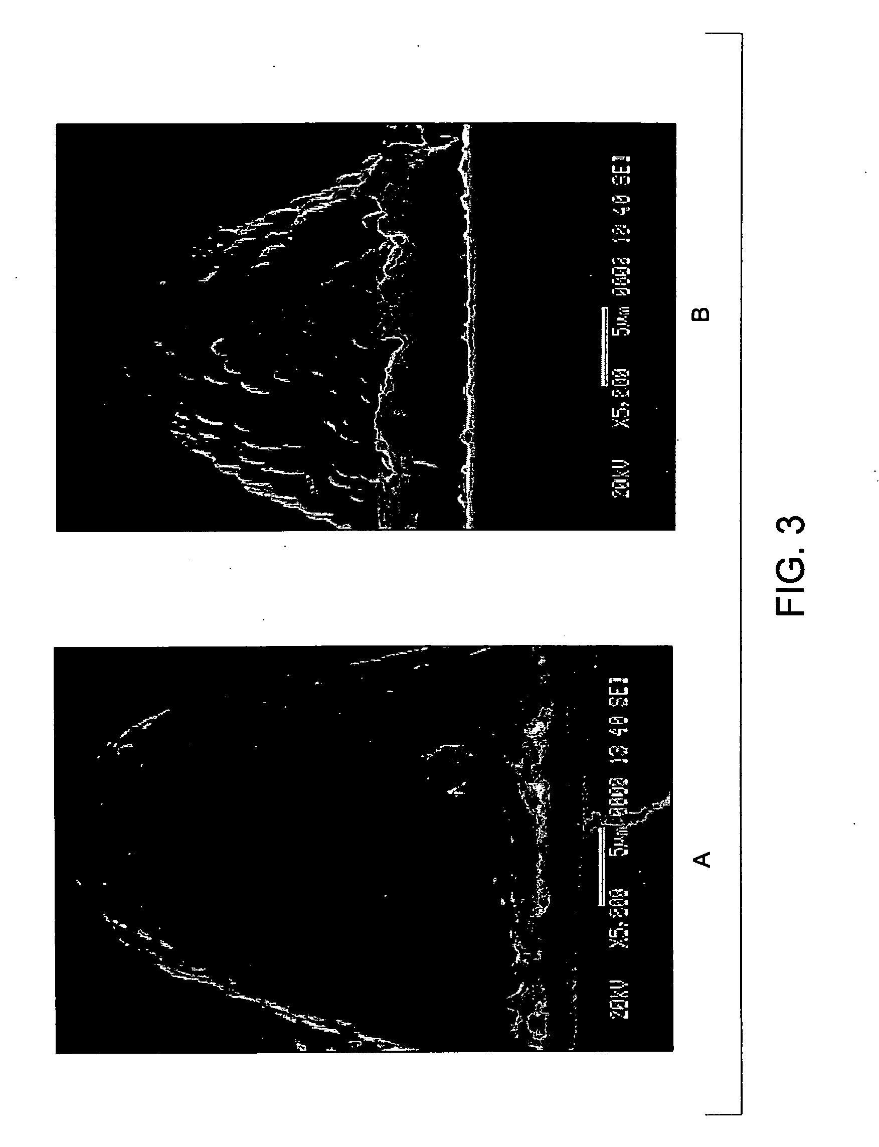 Superhydrophobic coating composition and coated articles obtained therefrom