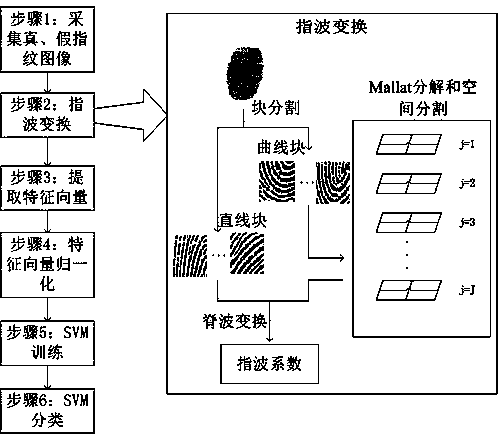 False fingerprint detection method based on finger wave conversion and SVM