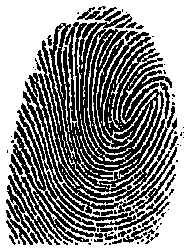 False fingerprint detection method based on finger wave conversion and SVM