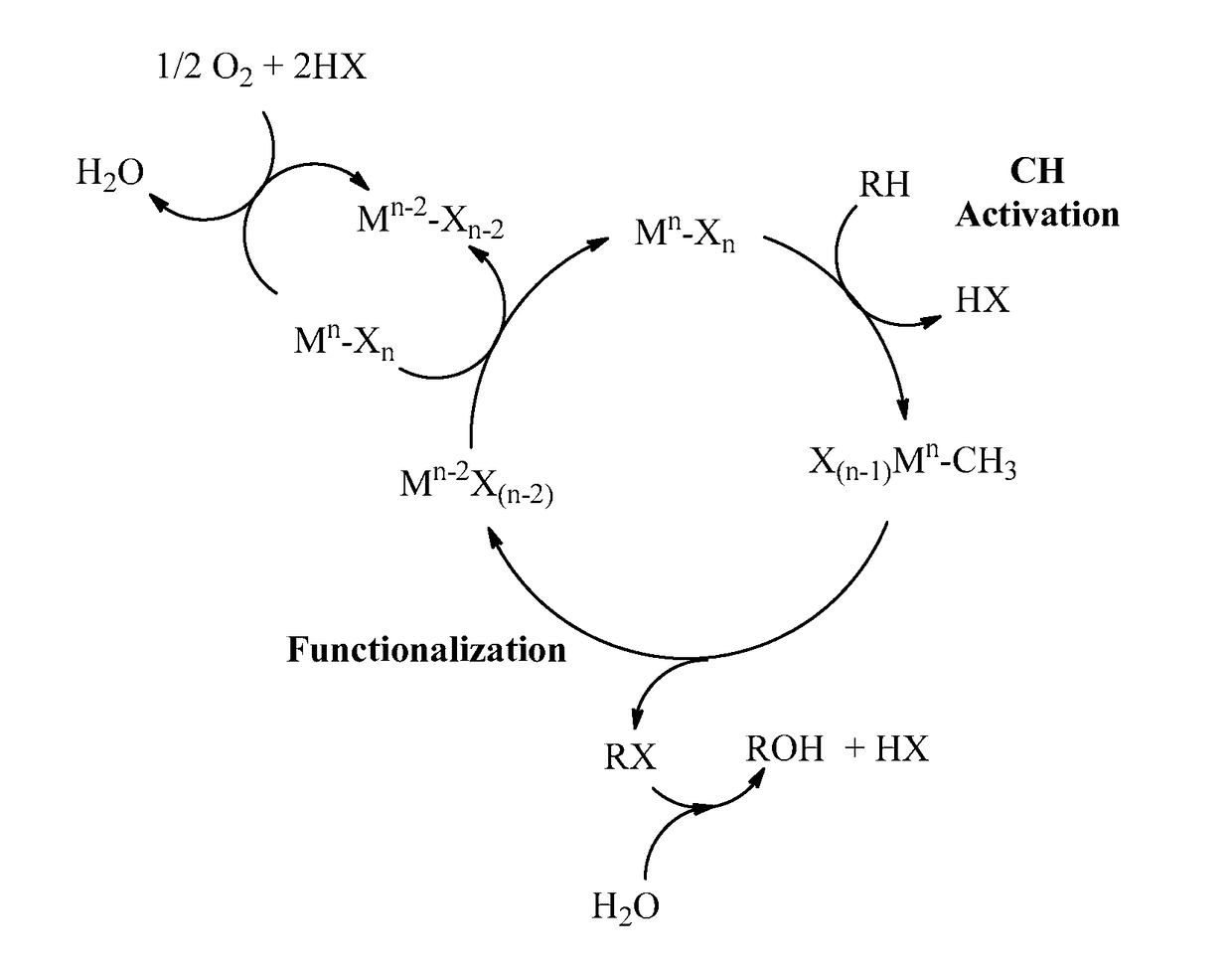 Process for the functionalization of heteroalkanes and arenes