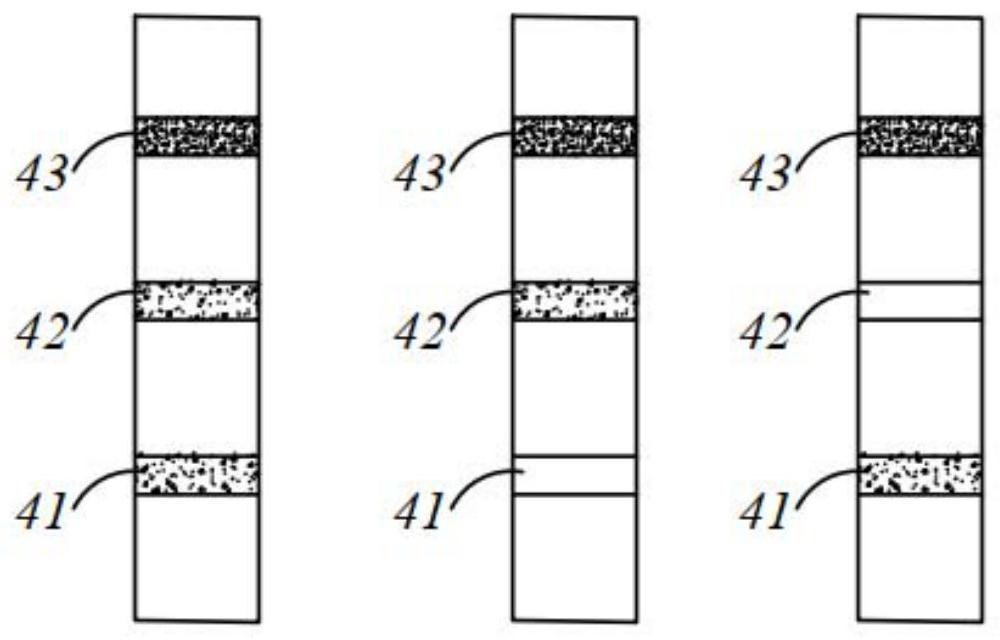 Test strip for detecting feline coronavirus, preparation method thereof, kit and detection method