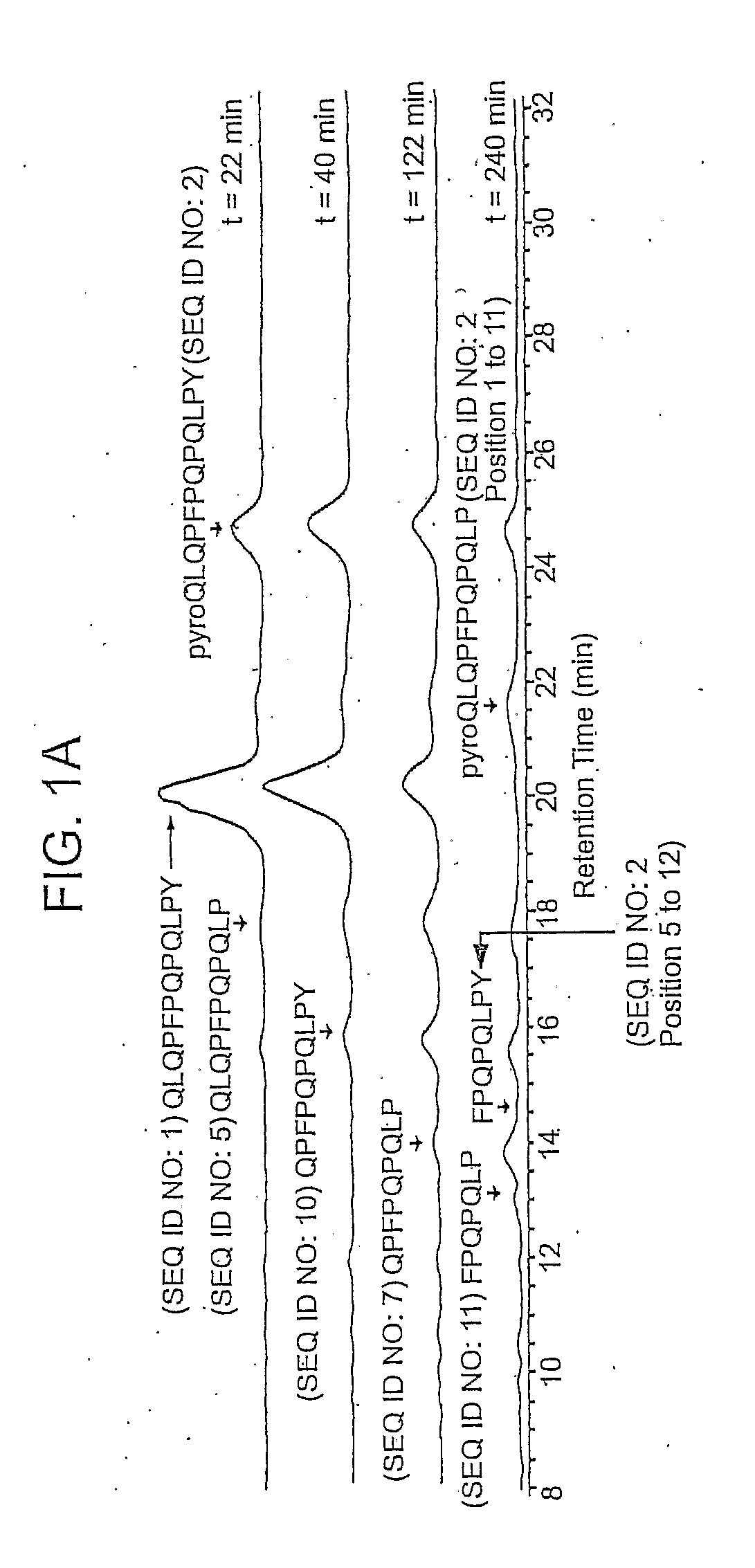 Peptides for Diagnostic and Therapeutic Methods for Celiac Sprue