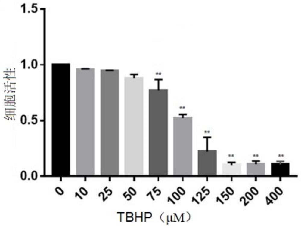 Application of quercetin in preparation of medicine for treating intervertebral disc nucleus pulposus degeneration