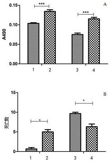 Preparation method and application of soluble housefly MdproPO1 recombination protein