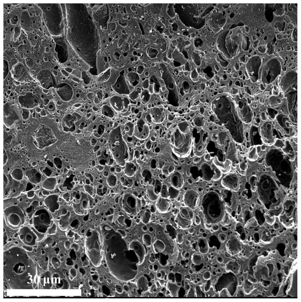 Ordered porous hard carbon for sodium ion battery