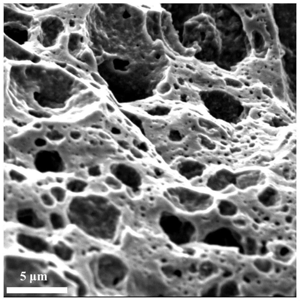 Ordered porous hard carbon for sodium ion battery