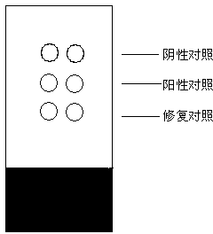 Immunohistochemical quality control reference object and quality control method