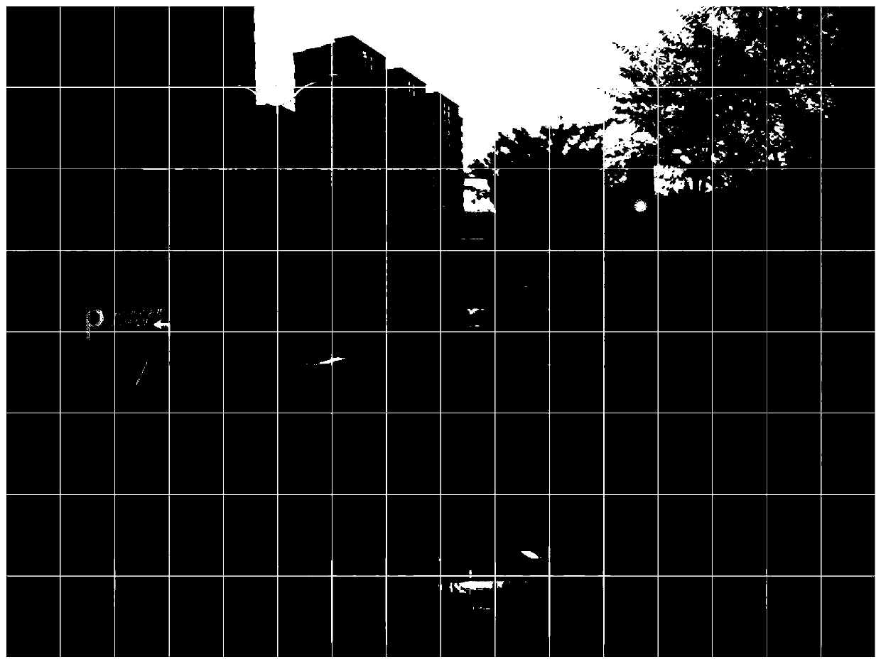 A vehicle longitudinal positioning system and method based on variable grid image feature detection in automatic driving