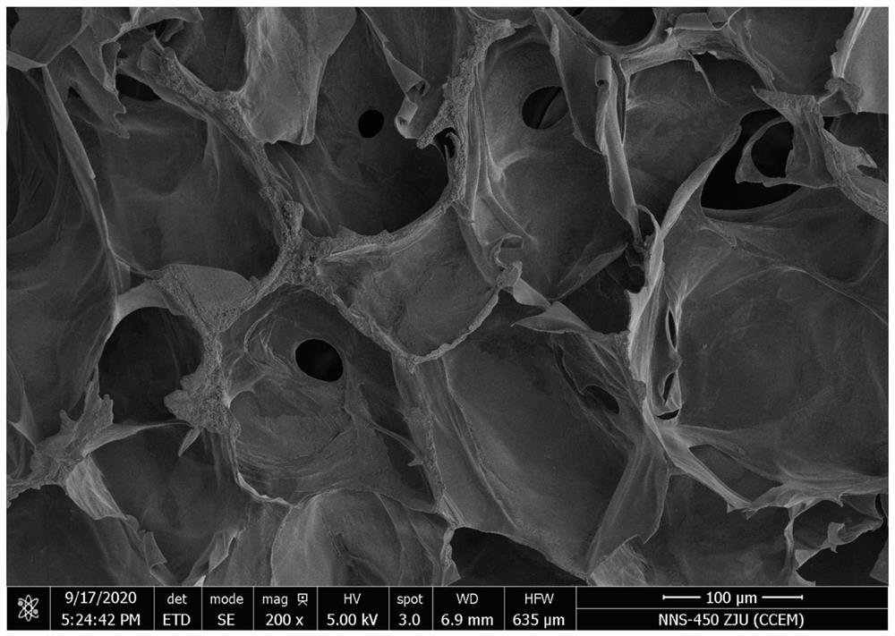 Tissue engineering dental pulp based on digital optical processing printing technology and preparation method