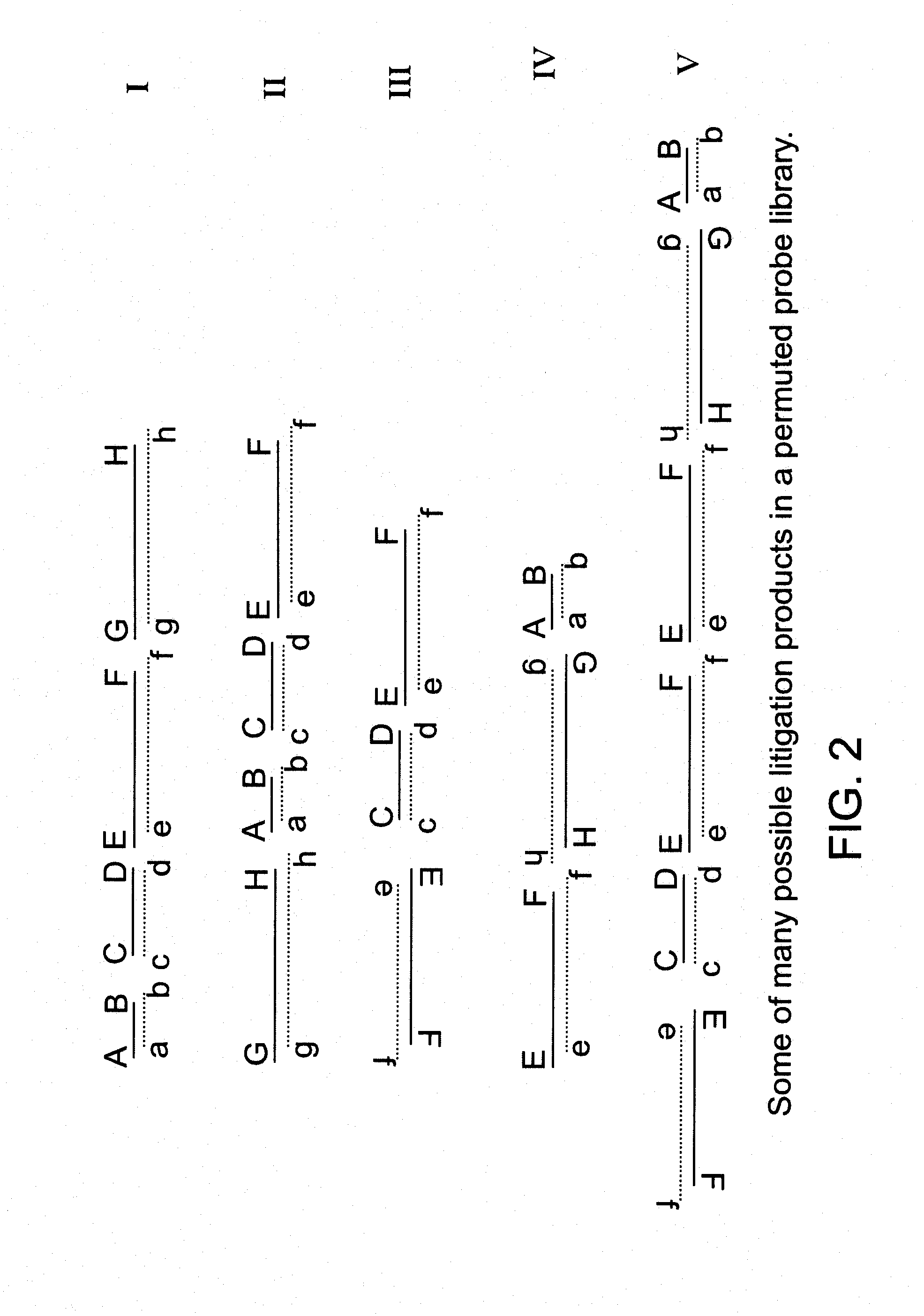 Methods for producing nucleic acid hybridization probes that amplify hybridization signal by promoting network formation