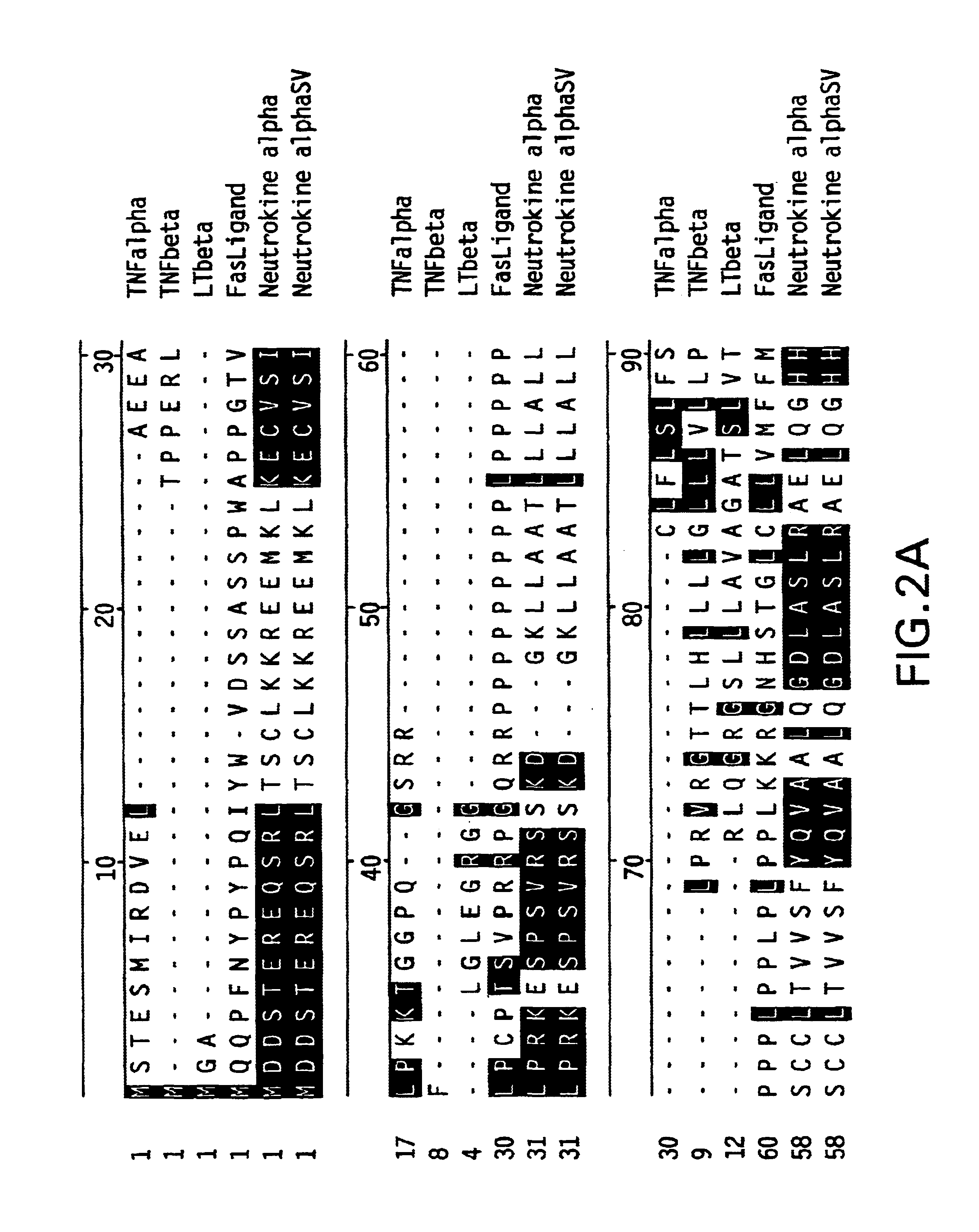 Method of assaying Neutrokine-alpha mRNA level