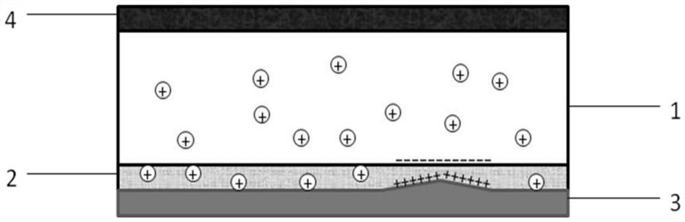 Coating diaphragm, preparation method and method for inhibiting lithium dendrites