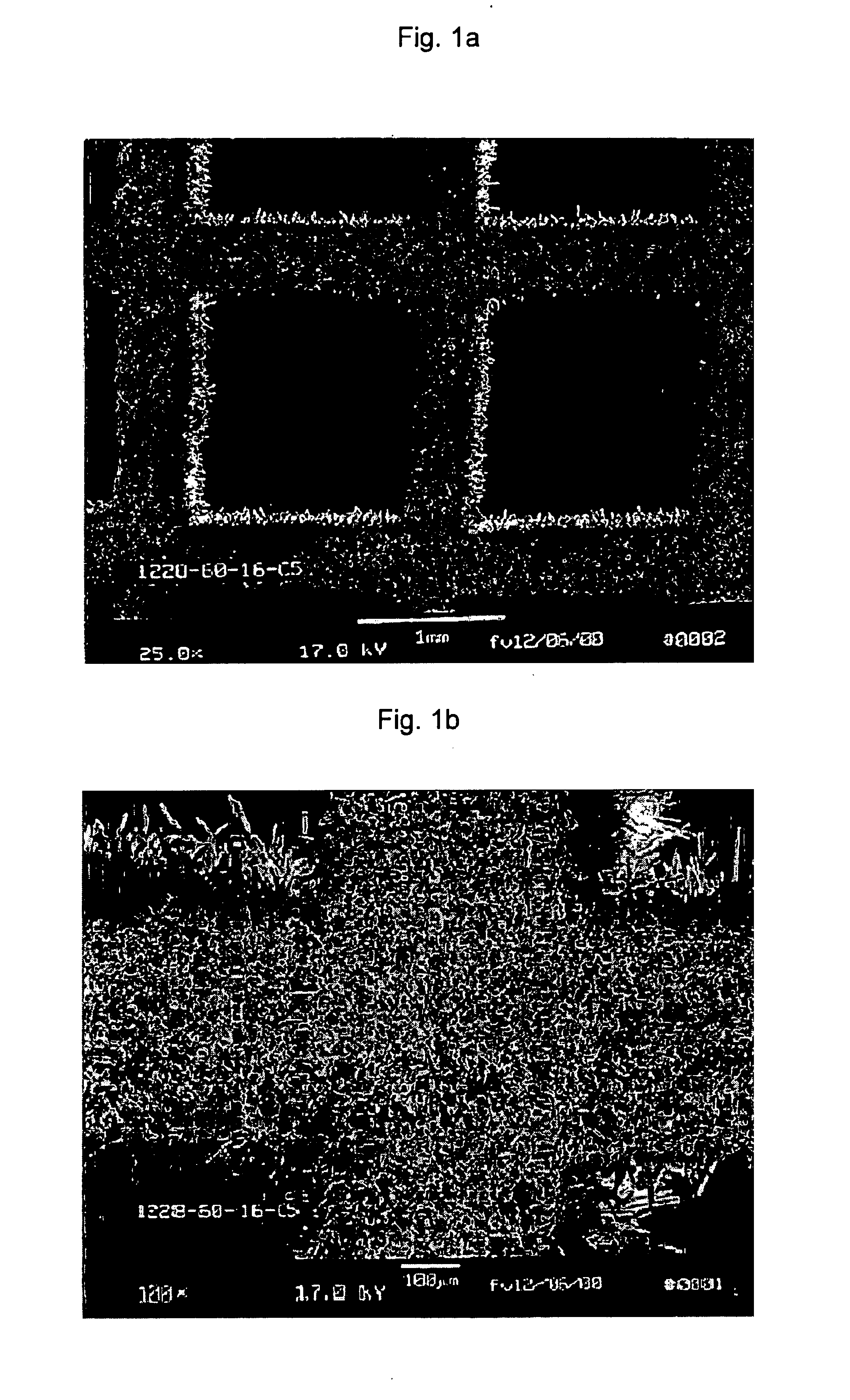 Catalytic devices and method of making said devices