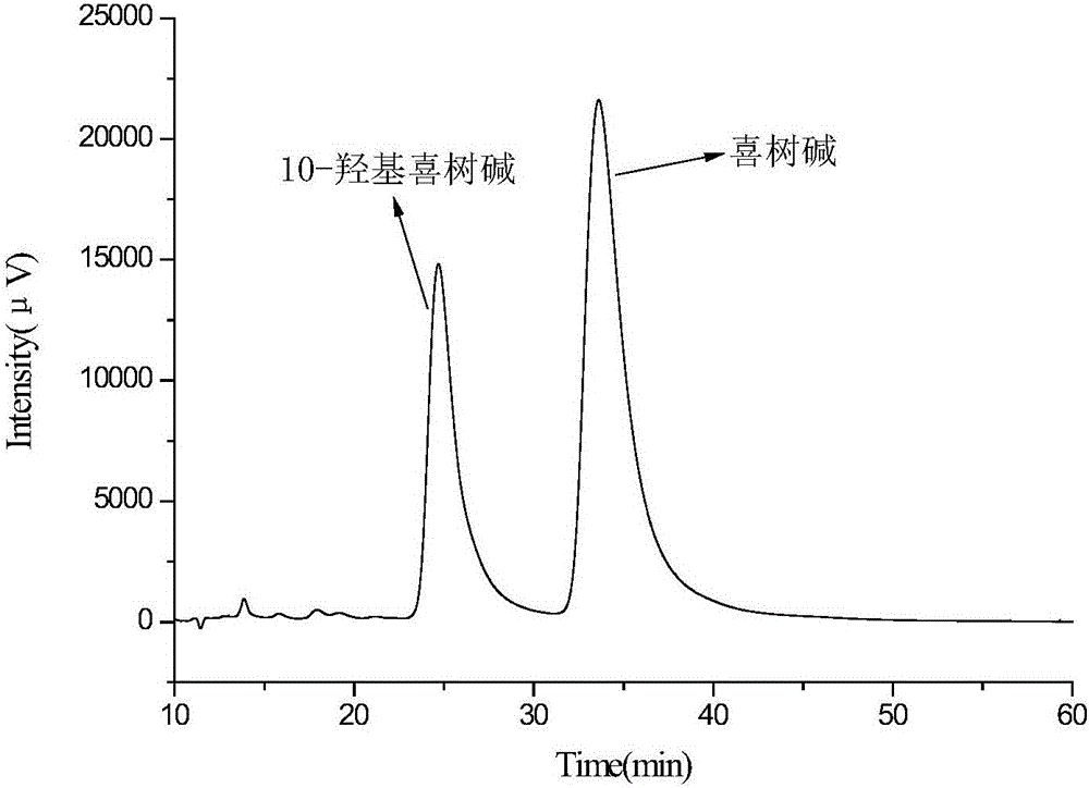 Method for separating camptothecin and 10-hydroxycamptothecin by adoption of rosin-based macromolecules