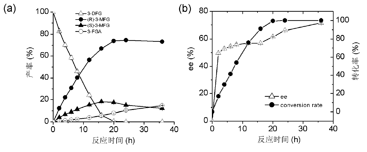 Marine bacterial novel esterase, as well as preparation method and application thereof