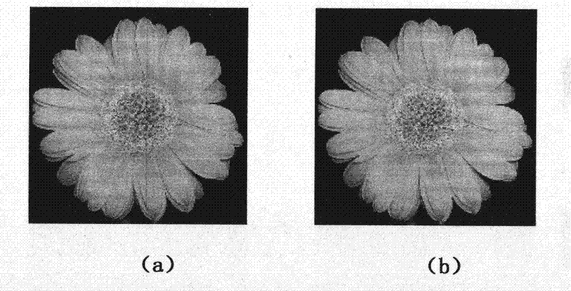 Digital image watermark extraction method based on DCT algorithm