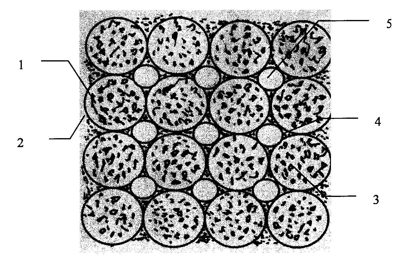 Method for constructing vegetation in ecological concrete spheres on river bank protection slope