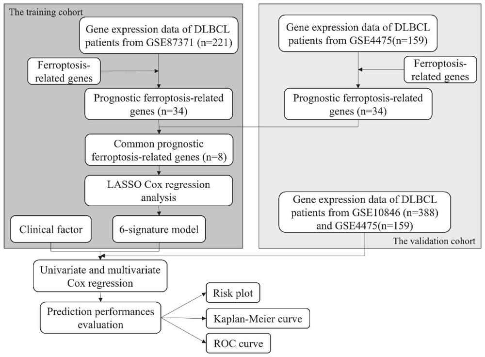 Application of ferroptosis related gene in prognosis evaluation of diffuse large B-cell lymphoma