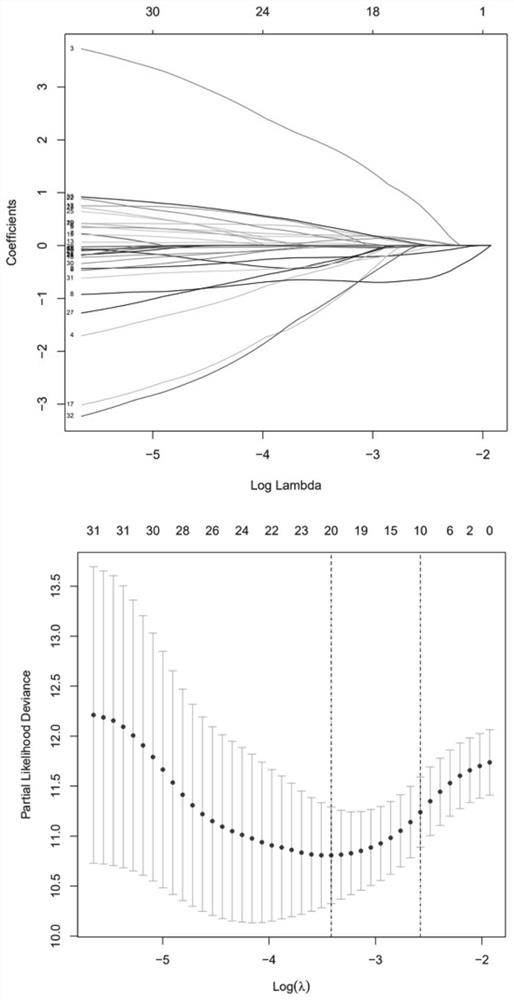 Application of ferroptosis related gene in prognosis evaluation of diffuse large B-cell lymphoma