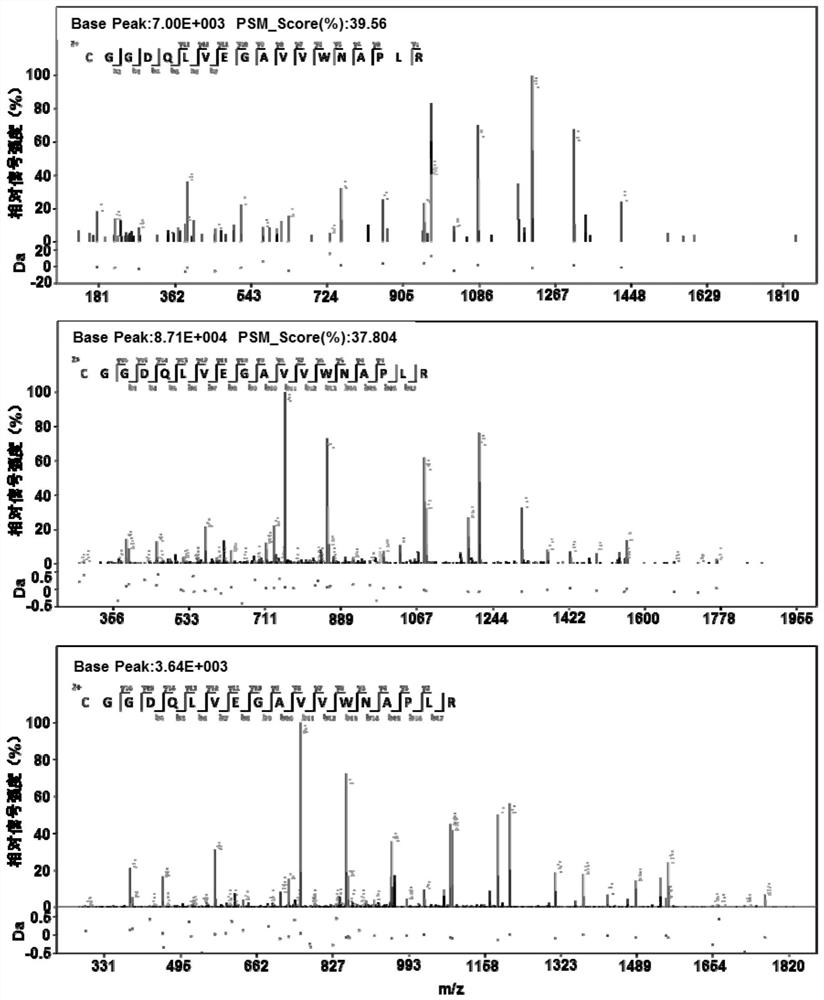 Mycobacterium tuberculosis h37rv coding gene and its application