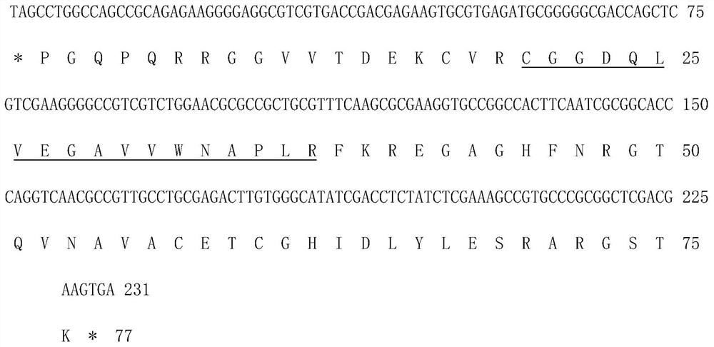 Mycobacterium tuberculosis h37rv coding gene and its application