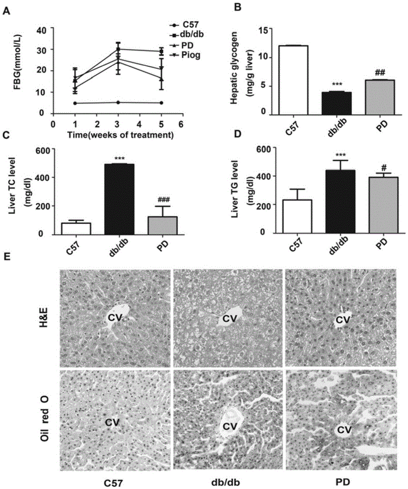 Traditional Chinese medicine monomer component medicine for inhibiting PCSK9 target, and application of polydatin in preparation of PCSK9 target inhibition medicines