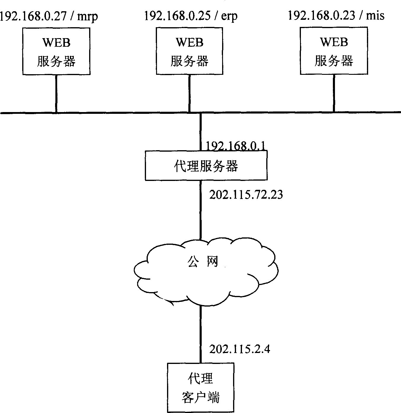 Virtual domain name resolution proxy method and system