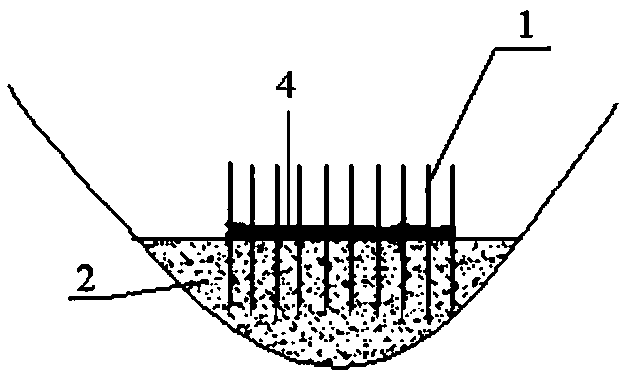 Compound check dam water and soil conservation method