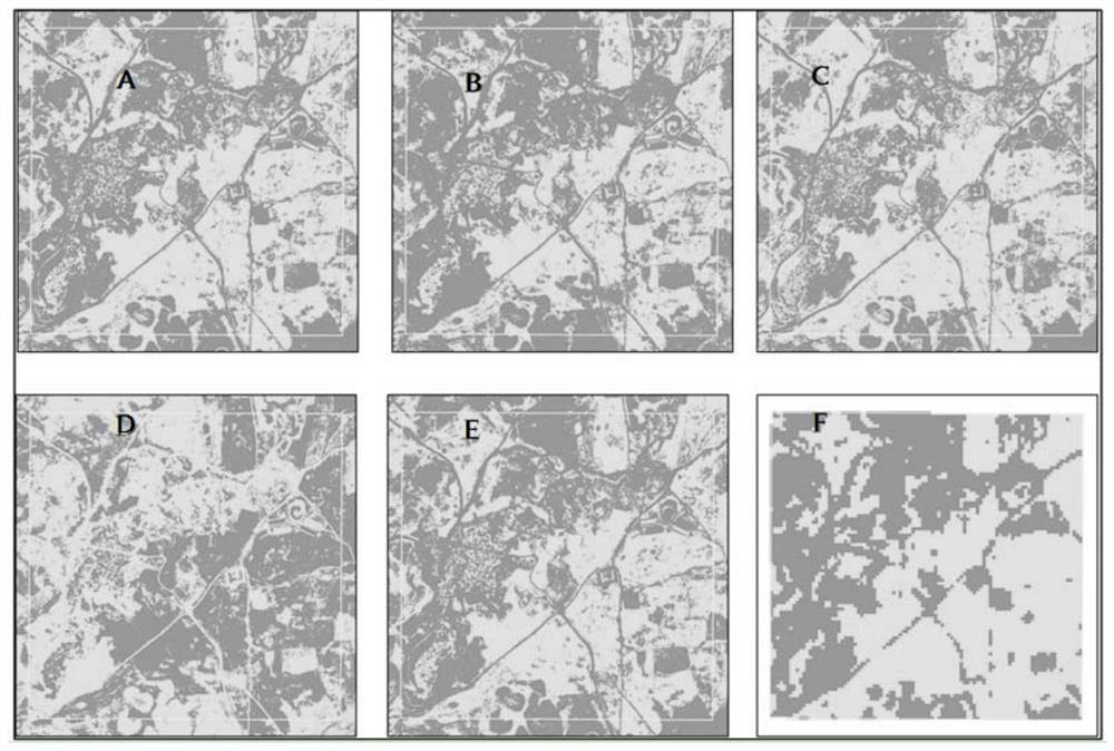 A Method of Extracting Vegetation Information from Aerial Photographs Based on Collaborative Remote Sensing Images