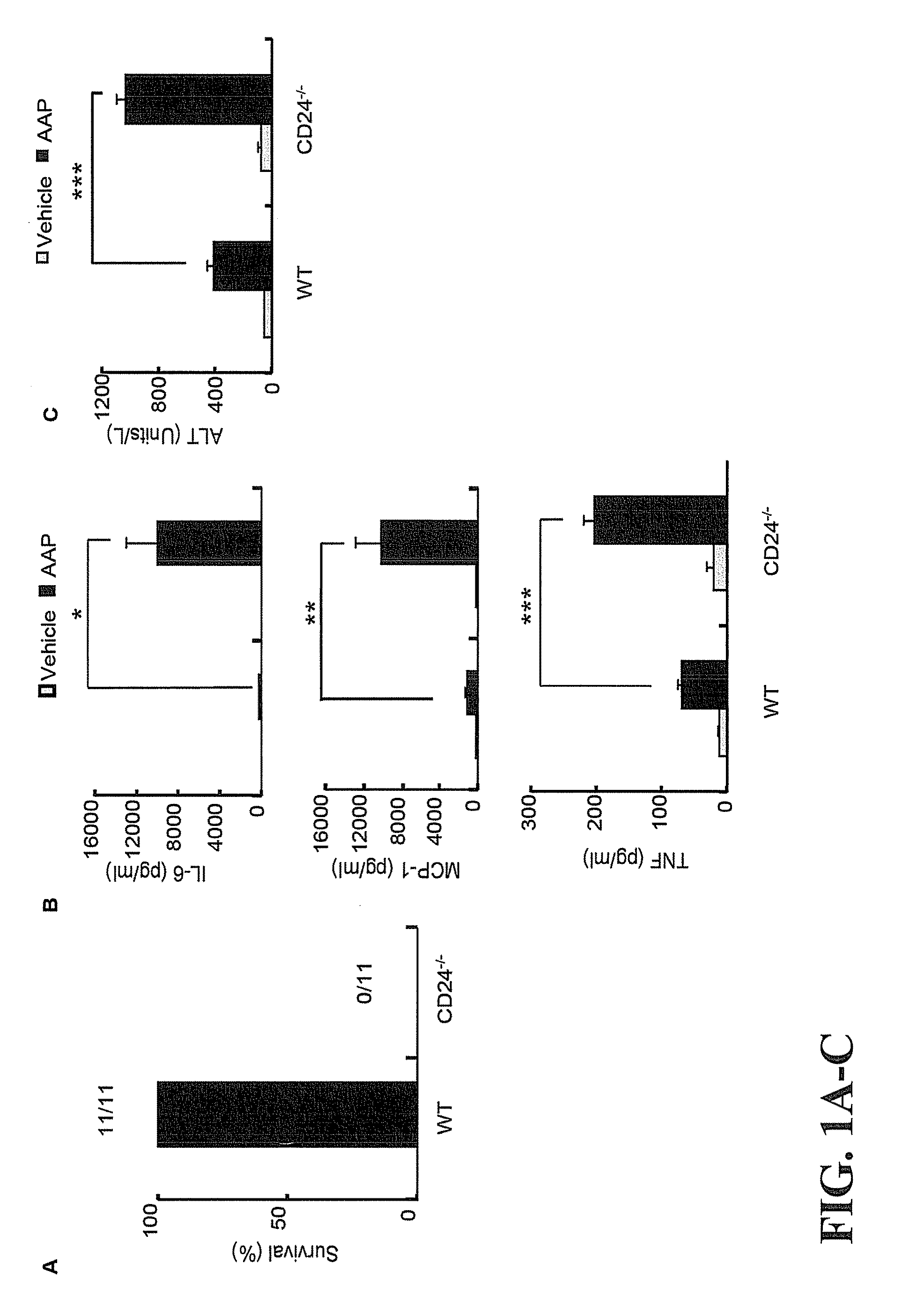 Treatment of drug-related side effect and tissue damage by targeting the cd24-hmgb1-siglec10 axis