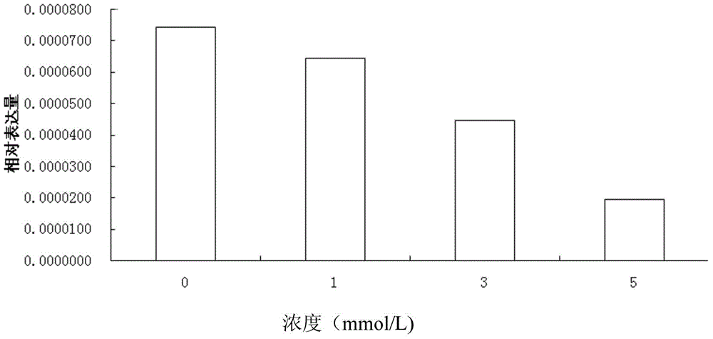 Strontium chondroitin sulfate and preparation method thereof