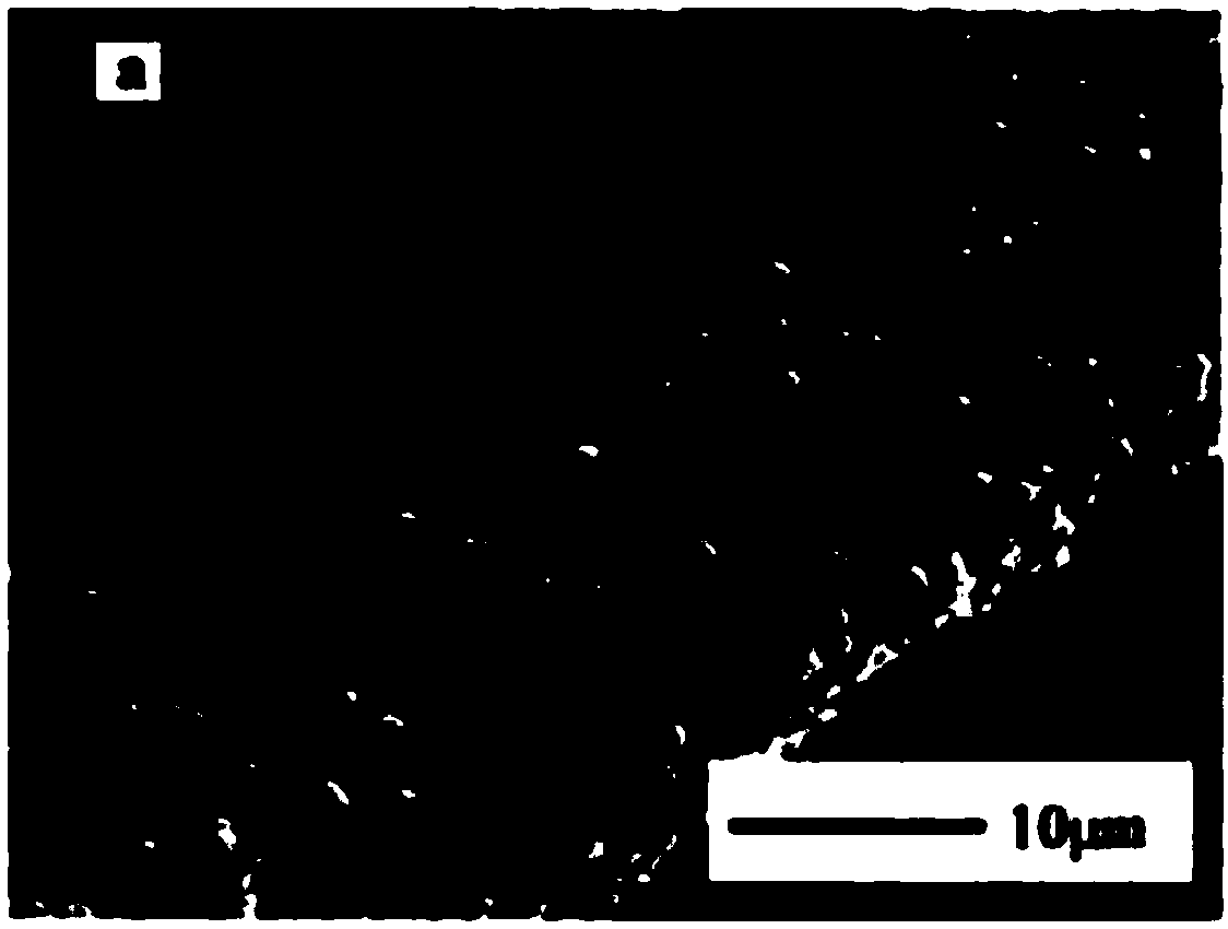 Hemostatic compound and preparation method thereof