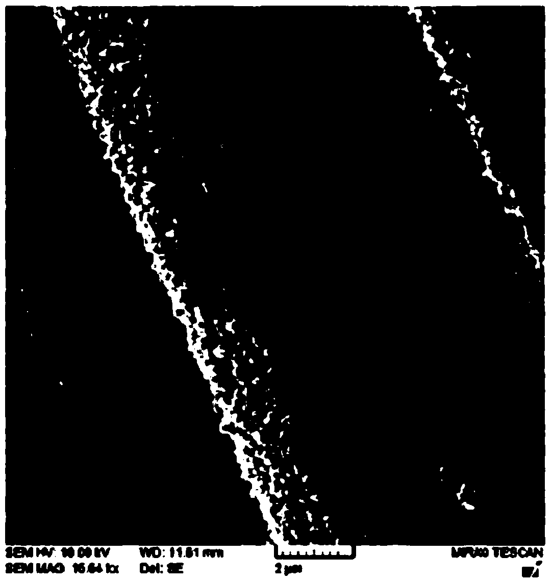 Hemostatic compound and preparation method thereof