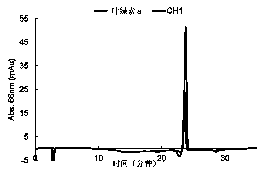 Composition containing chlorella extract for the prevention or treatment of liver disorders