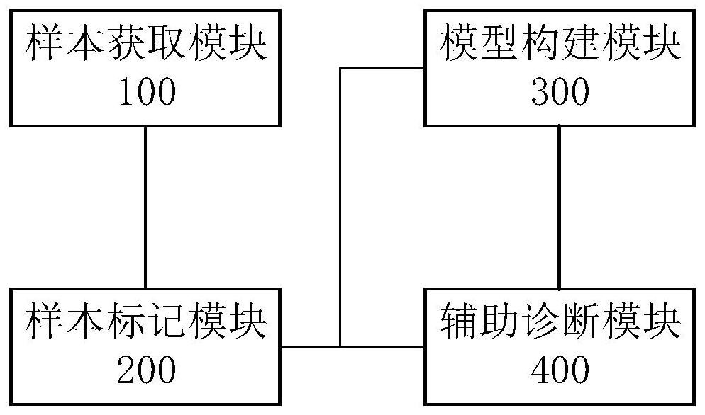 Disease auxiliary diagnosis system and equipment based on oral acid, and storage medium