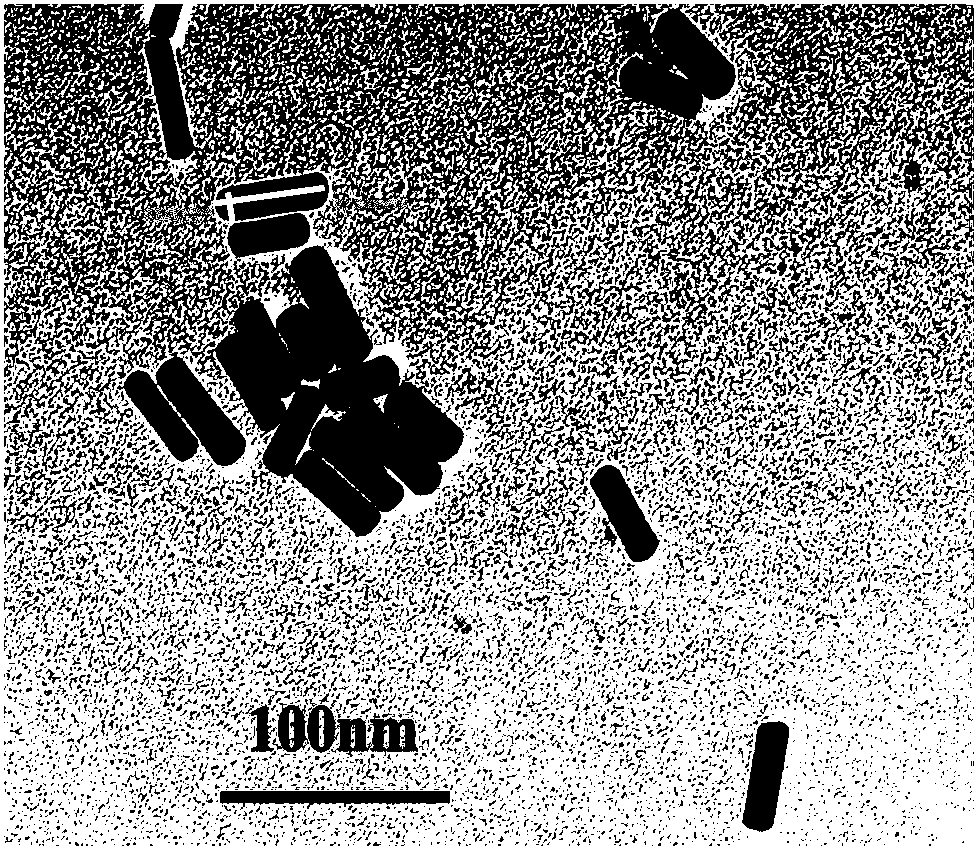 Electrochemical immunosensor for AFB1 (Aflatoxin B1), preparation method thereof and application thereof to detection of AFB1