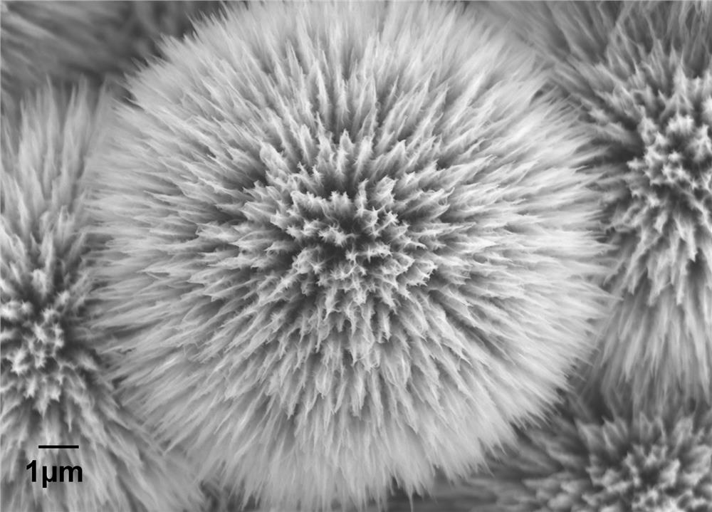 A kind of foamed nickel loaded mnco  <sub>2</sub> o  <sub>4.5</sub> Preparation method and application of /mxene composite nanomaterial