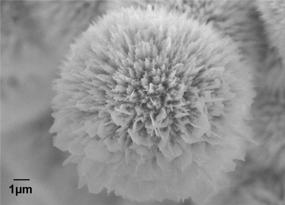 A kind of foamed nickel loaded mnco  <sub>2</sub> o  <sub>4.5</sub> Preparation method and application of /mxene composite nanomaterial