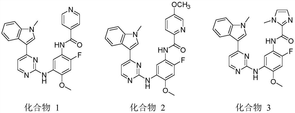 4-methoxyphenyl-1, 3-diamine derivative containing 1-methyl-1H-indole structure and application of 4-methoxyphenyl-1, 3-diamine derivative