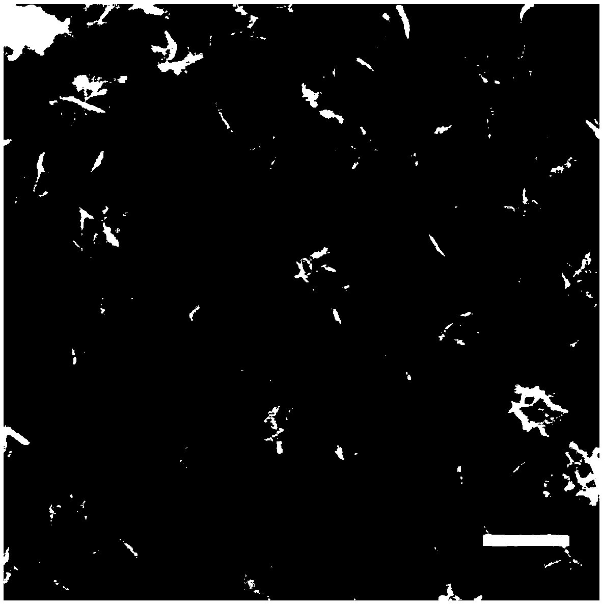 Nanometer photodynamic reagent with near-infrared light excitation and oxygen self-supply functions, and preparation and application of nanometer photodynamic reagent