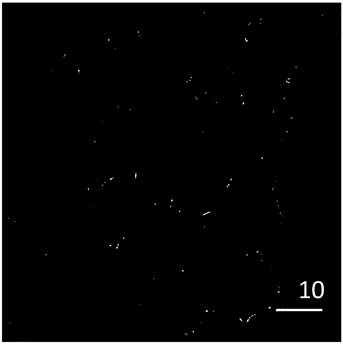 Nanometer photodynamic reagent with near-infrared light excitation and oxygen self-supply functions, and preparation and application of nanometer photodynamic reagent