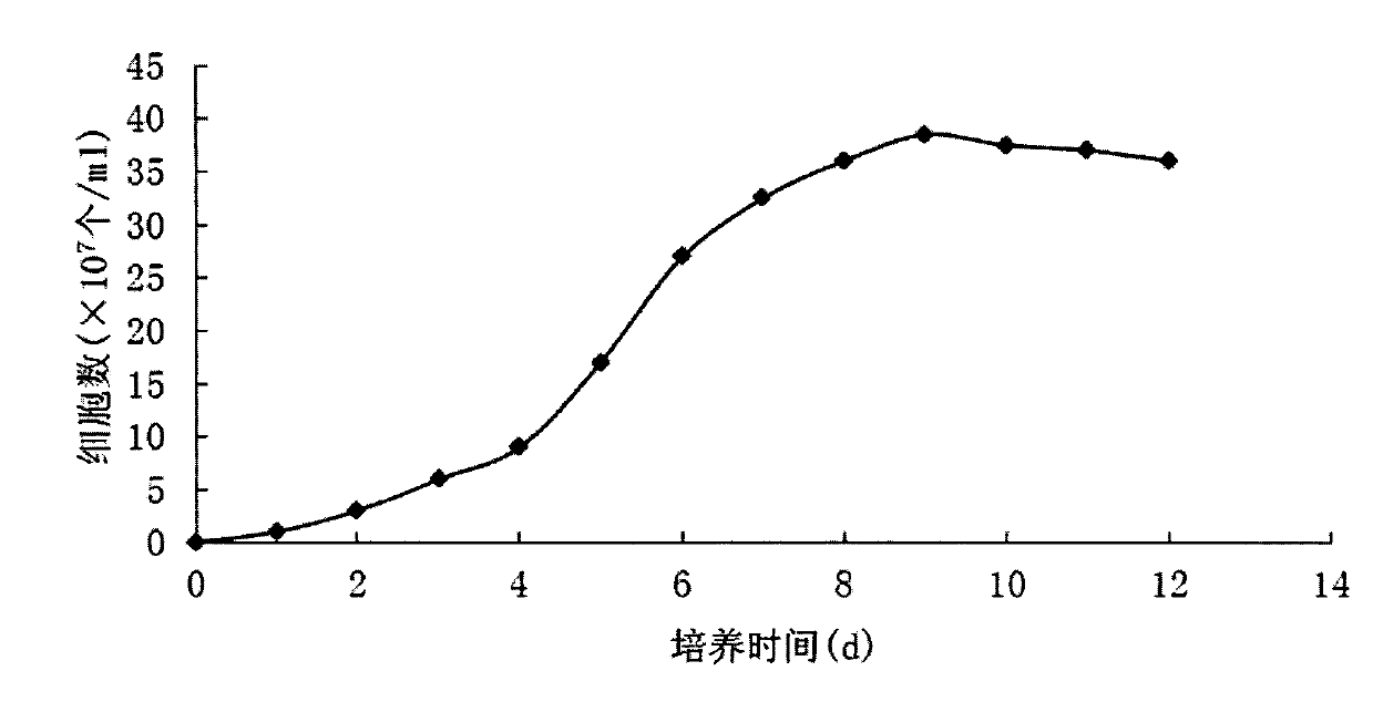 Culture method for efficiently inducing accumulation of nannochloropsis oculata fat