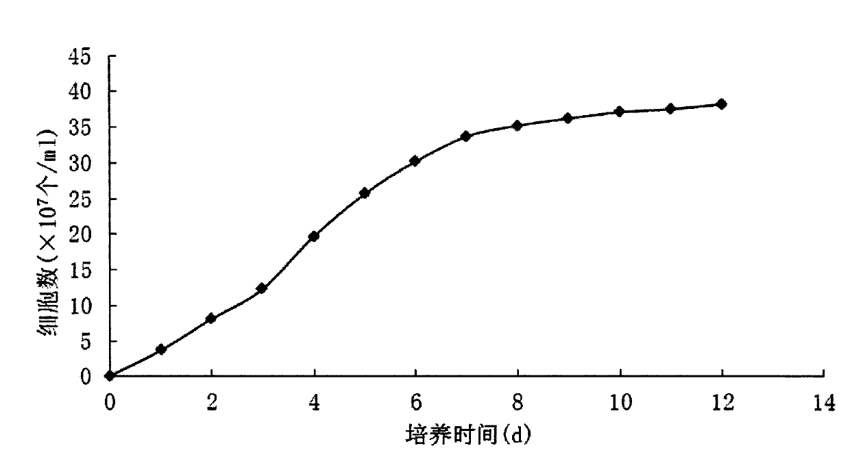 Culture method for efficiently inducing accumulation of nannochloropsis oculata fat