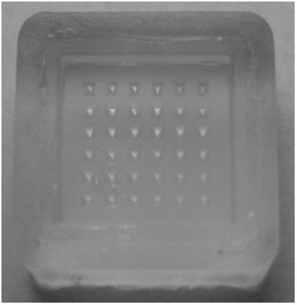 A kind of soluble microneedle vaccine patch and preparation method thereof
