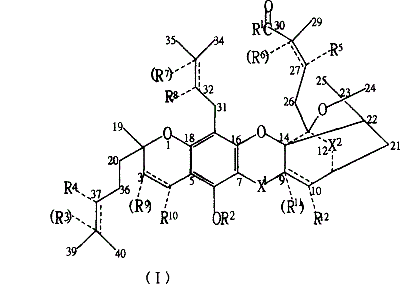 New compound ramification of garcinia acid