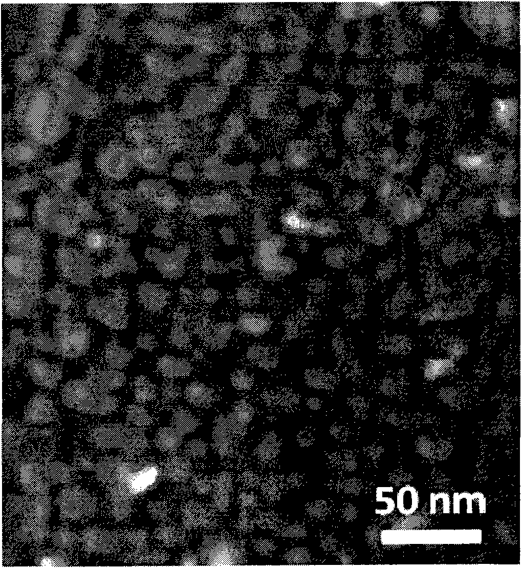 Iron-carbon nano composite electromagnetic wave absorption material and preparation method thereof