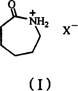 Process for preparing epsilon-hexanolactam by catalyzing cyclohexanone-oxime rearranging