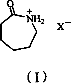 Process for preparing epsilon-hexanolactam by catalyzing cyclohexanone-oxime rearranging