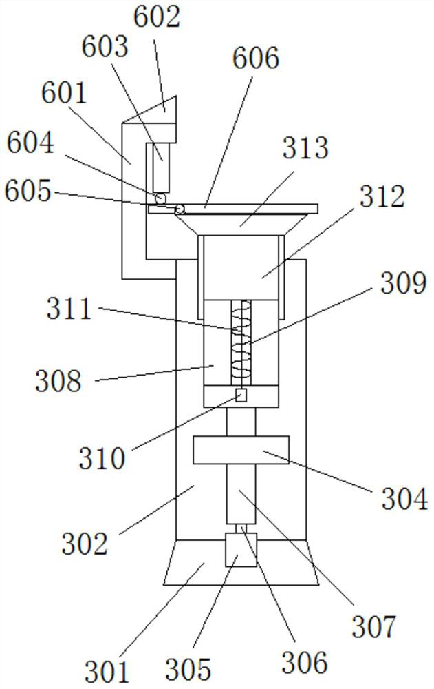 Automatic feeding system for domestic pigs