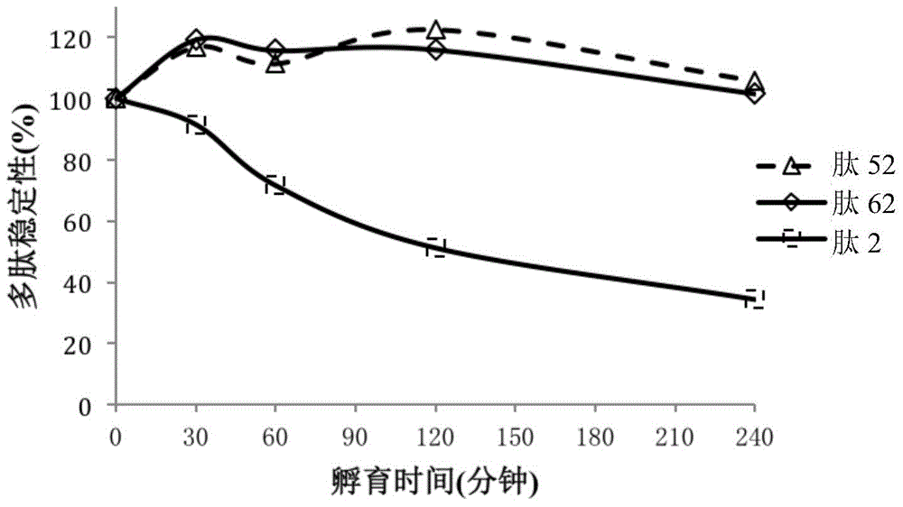 Polypeptide, polypeptide derivative, medicinal salt of polypeptide and pharmaceutical composition